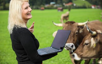 Für wen ist Network-Marketing geeignet