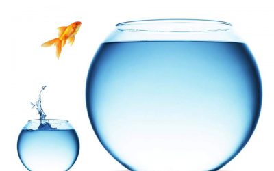 Mindset der Erfolgreichen