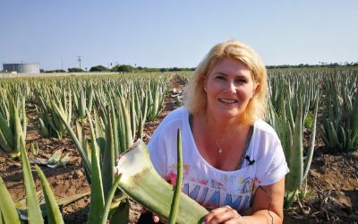 Geld verdienen mit Aloe Vera