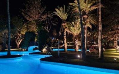 Das Gehirn auf Erfolg programmieren