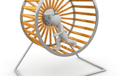 Raus aus dem Hamsterrad
